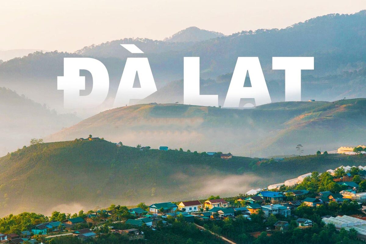 [contact-form-7 id="891ca0e" title="Form đặt xe"]
